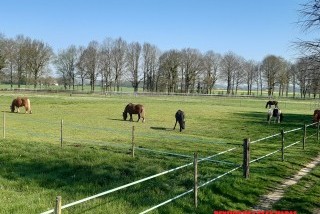 Hébergements randonnées équestres Pension De Chevaux L'Elev'Haras Hébergements randonnées équestres Pension De Chevaux L'Elev'Haras