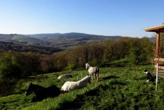 Hébergements randonnées équestres Naturavous Hébergements randonnées équestres Naturavous