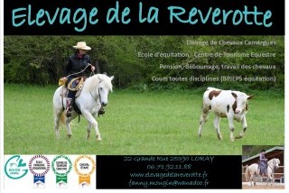Hébergements randonnées équestres Elevage de la Reverotte Hébergements randonnées équestres Elevage de la Reverotte