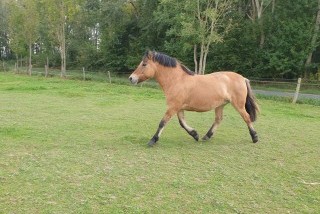 Hébergements randonnées équestres CB tourisme equestre Hébergements randonnées équestres CB tourisme equestre