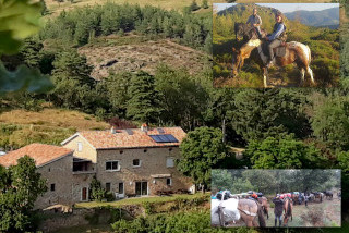 Hébergements randonnées équestres gîte de la chanal 07 Hébergements randonnées équestres gîte de la chanal 07