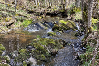 Hébergements randonnées équestres La ferme des Balayes Hébergements randonnées équestres La ferme des Balayes
