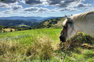 L'Orée des 2 Monts