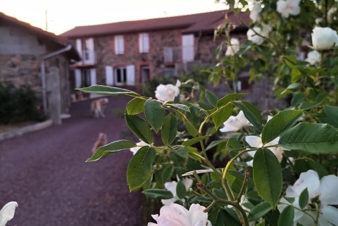 L'Orée des 2 Monts