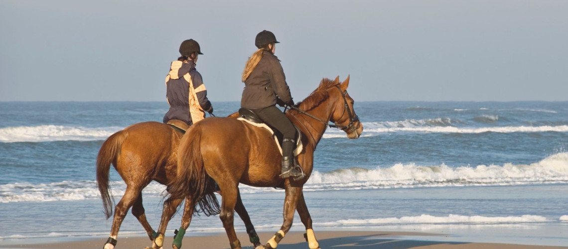 Comment partir en vacances avec son cheval en toute tranquillité ? Comment partir en vacances avec son cheval en toute tranquillité ?