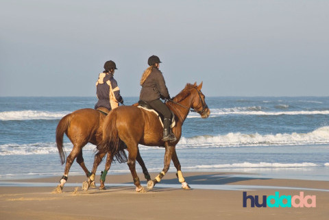 Comment partir en vacances avec son cheval en toute tranquillité ?