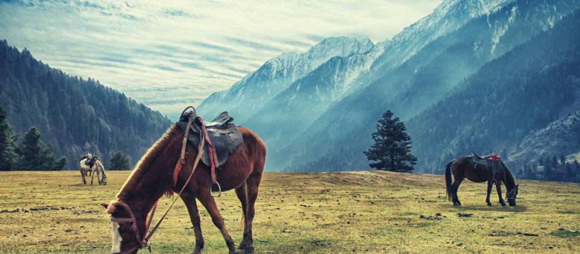 Tourisme équestre : explorer la france à cheval Tourisme équestre : explorer la france à cheval