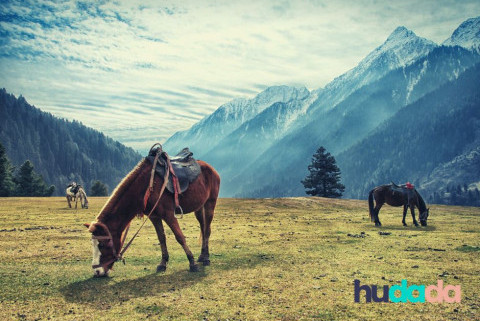 Tourisme équestre : explorer la france à cheval