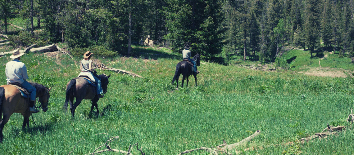 Partir en randonnée à cheval en isère Partir en randonnée à cheval en isère