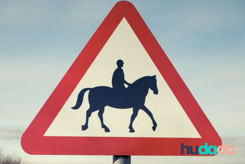 Cheval sur une route nationale