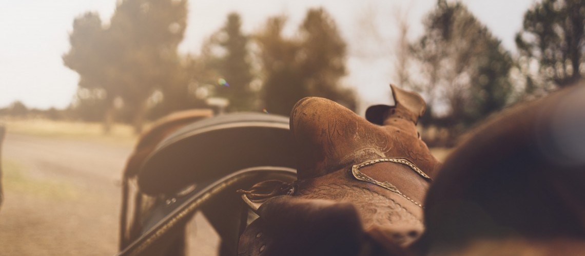 Randonnée à cheval : comment bien s'équiper ? Randonnée à cheval : comment bien s'équiper ?