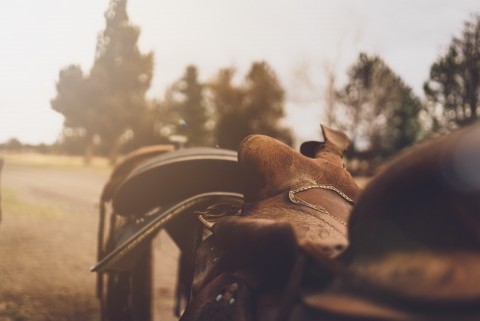 Randonnée à cheval : comment bien s'équiper ?
