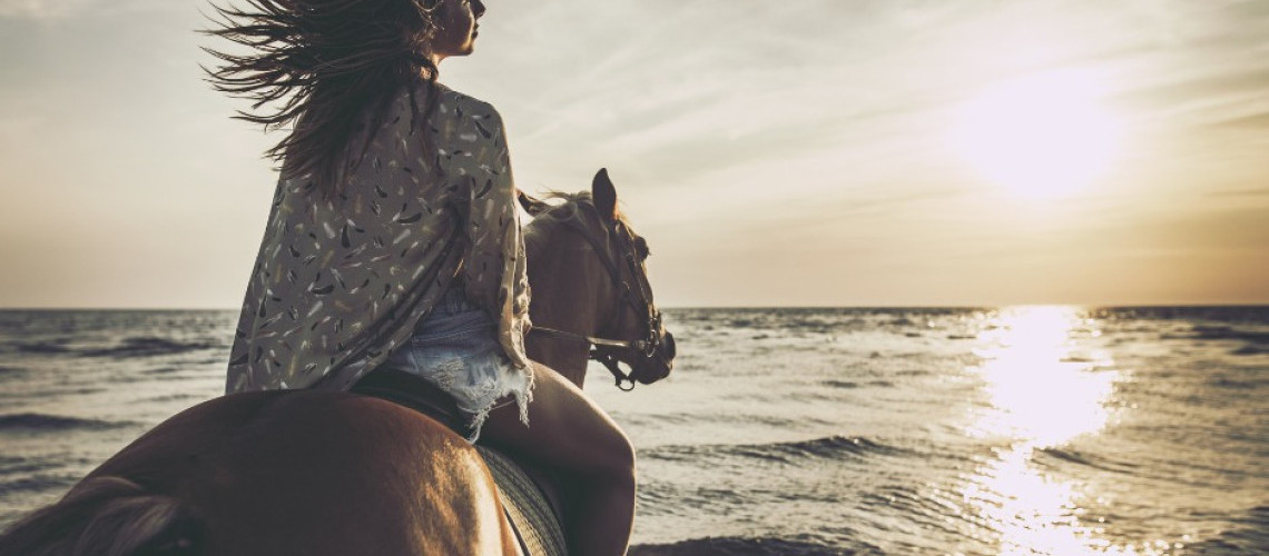 Pourquoi partir en randonnée à cheval ? Pourquoi partir en randonnée à cheval ?