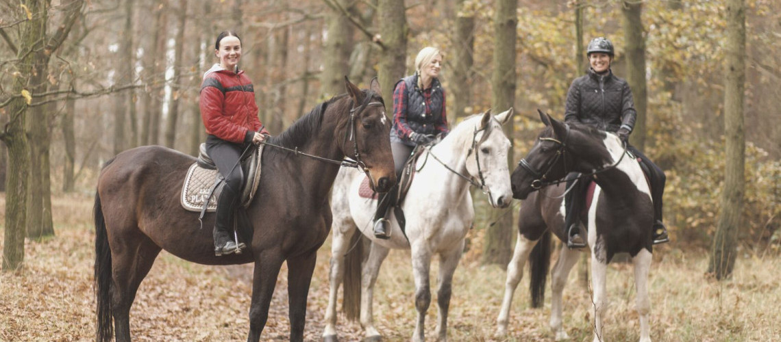 Partir en randonnée à cheval en dordogne Partir en randonnée à cheval en dordogne