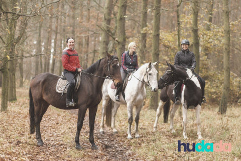 Partir en randonnée à cheval en dordogne