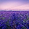 Hébergements randonnées à cheval Provence-Alpes-Côte d'Azur Hébergements randonnées à cheval Provence-Alpes-Côte d'Azur