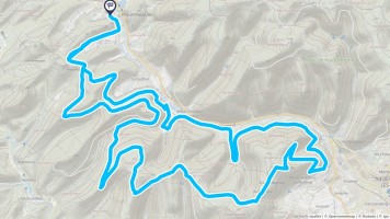 Autour de Philippsbourg #2733 - Randonnée équestre