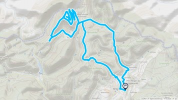 Autour de Wingen #2831 - Randonnée équestre