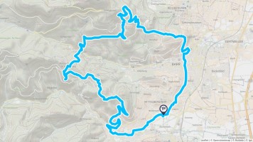 Autour de Eichhoffen #2832 - Randonnée équestre