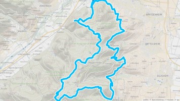 Autour de Turckheim #2844 - Randonnée équestre