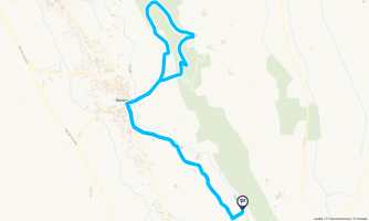 Balade de Barzun - Randonnée équestre