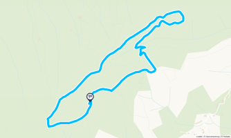 Petite sortie autour de Saint Laurent du Pape - Randonnée équestre