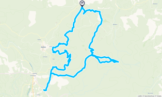 64 - Ainhoa - Col de Pinodietta 22 km. - Randonnée équestre