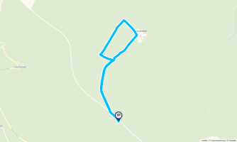 VIOLAY - Tour Matagrin - Randonnée équestre